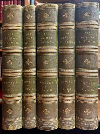 Item #139121 The Animal Kingdom Arranged in Conformity with its Organization,; with Additional...