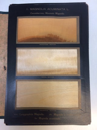 The American Woods, Exhibited by Actual Specimens and with Copious Explanatory Text.