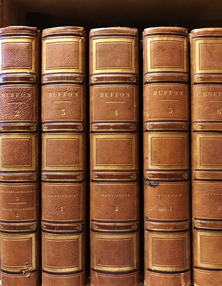 Item #159851 Oeuvres Completes de Buffon, avec des Extraits de Daubenton, et la Classification de Cuvier. Count de BUFFON.