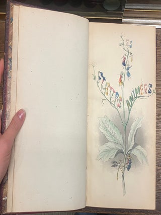 The Flowers Personified: Being a Translation of Grandville's "Les Fleurs Animees"
