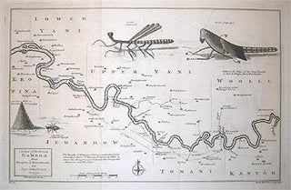 Item #202068 A Map of the River Gambra from Eropina to Barrakunda. Thomas KITCHIN