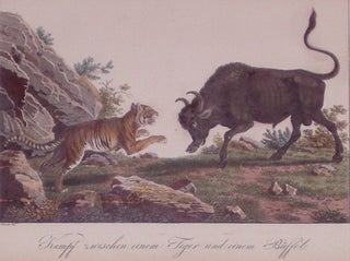 Item #202666 Kampf zwischen einem Tiger und einem Buffelo (Fight between a Tiger and a Buffalo)....