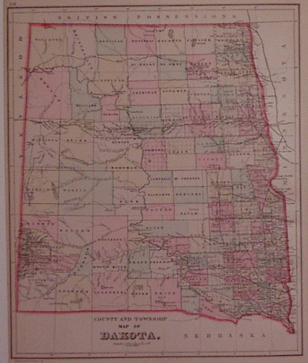 Item #203071 County and Township Map of Dakota. William M. BRADLEY.