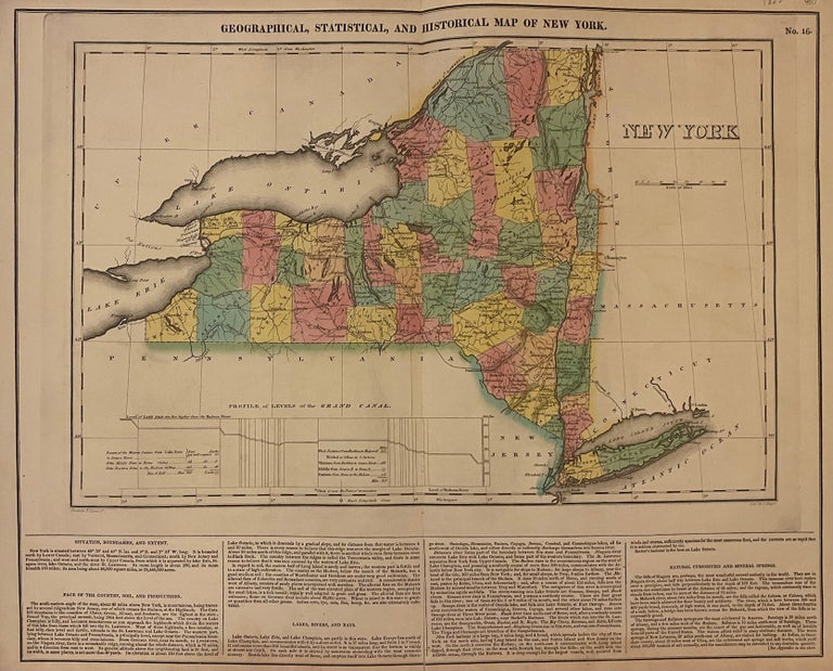 Item #203344 Geographical, Statistical, and Historical Map of New York. CAREY, LEA.