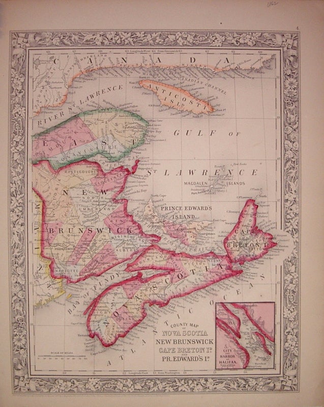 Item #204026 County Map of Nova Scotia New Brunswick Cape Breton Id. and Pr. Edward's Id. Samuel Augustus Jr MITCHELL.