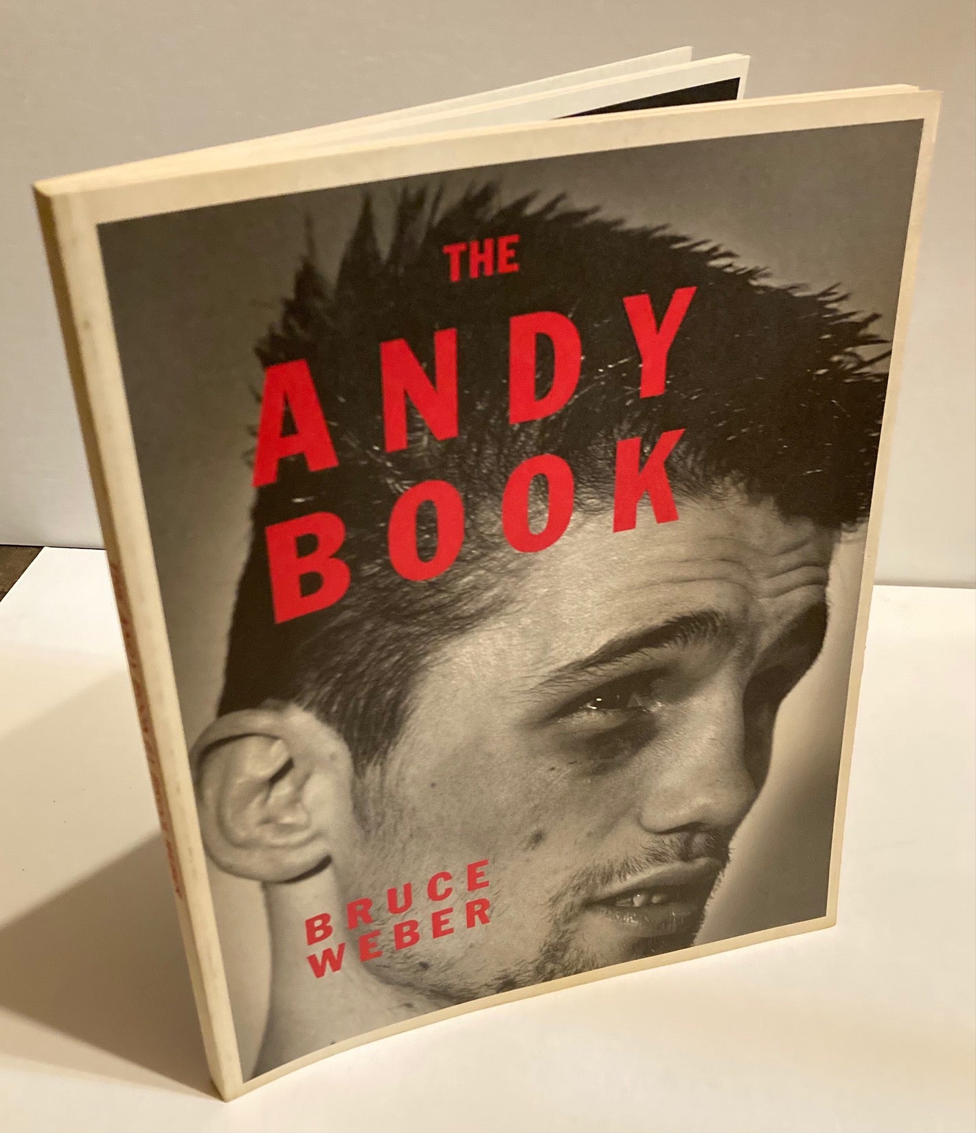 The Andy Book | Bruce WEBER | First