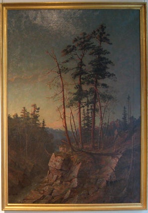 Item #223532 Untitled (Northern Minnesota). Thomas Mower MARTIN