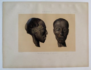 Item #232562 Thebes. Profile and Face of a Mummy. (Man.). Samuel Augustus BINION