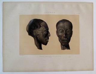 Item #232562 Thebes. Profile and Face of a Mummy. (Man.). Samuel Augustus BINION