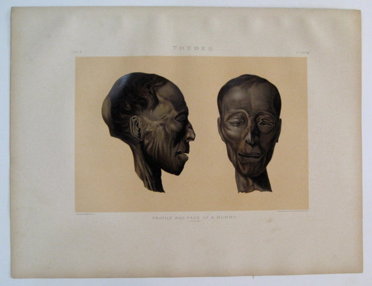 Item #232562 Thebes. Profile and Face of a Mummy. (Man.). Samuel Augustus BINION.