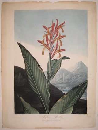 Item #235689 Indian Reed. Robert John THORNTON