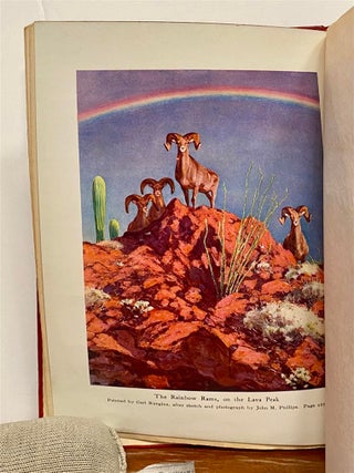 Camp-Fires on Desert and Lava