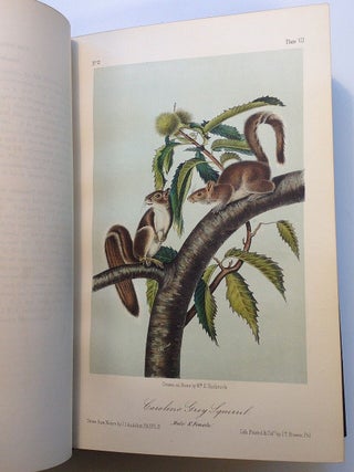 Item #256426 The Quadrupeds of North America. John James AUDUBON