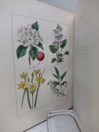 The Botanic Garden [Volume XII]; Consisting of Highly Finished Representations of Hardy Ornamental Flowering Plants, Cultivated in Great Britain;; with Their Names, Classes, Orders, History, Qualities, Culture, and Physiological Observations.
