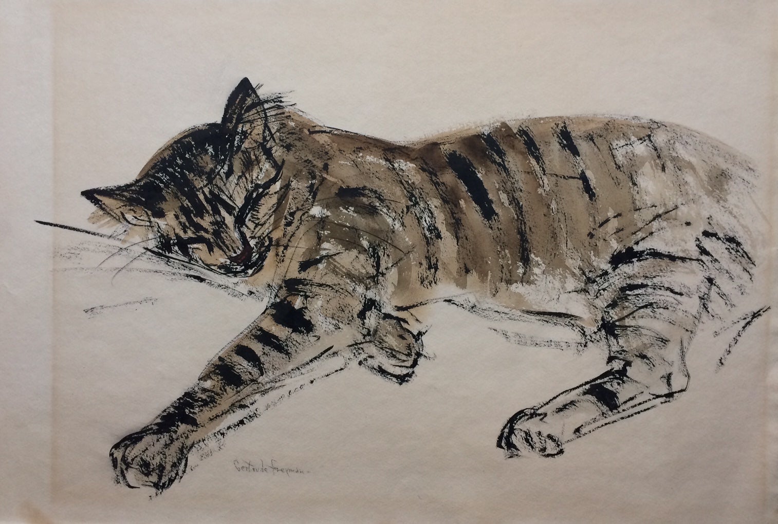 FREYMAN　Sleeping　Gertrude　ink　Cat;　Original　drawing