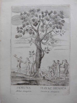 Item #289068 Samuna Arbor magica Hayac Huasca Smilax magica; Ayahuasca. FALDONI