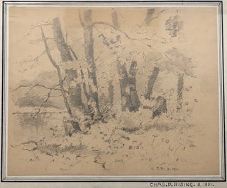 Item #294078 Untitled (8-1901). Charles Parmelee RISING