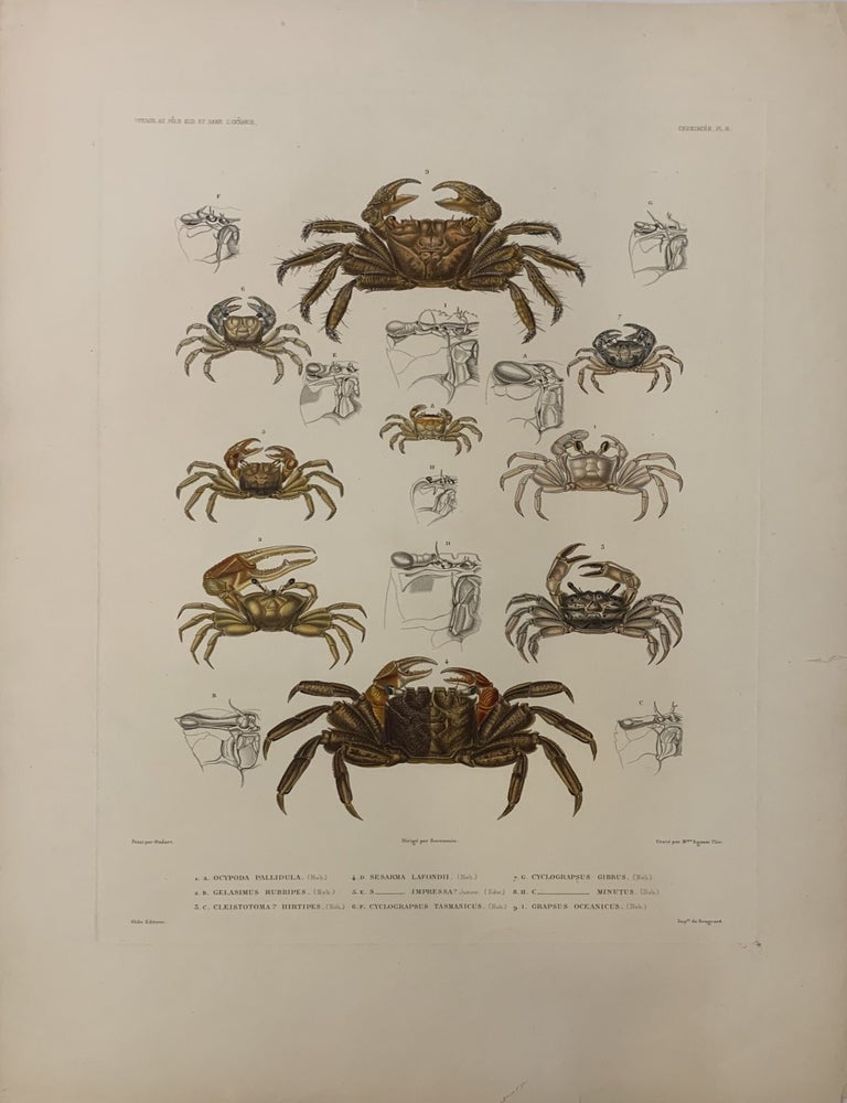 Item #296882 Crustaces PL.6. Jules Sebastien Cesar DUMONT D'URVILLE.