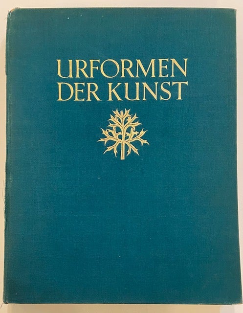Item #299045 Urformen Der Kunst. Karl BLOSSFELDT.