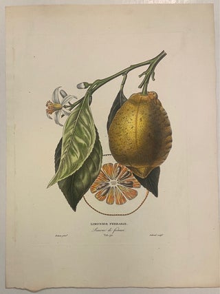 Item #301108 Limonier Ferraris. Pierre-Antoine POITEAU