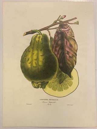 Item #301124 Limonier Imperiale. Pierre-Antoine POITEAU