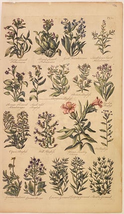 Item #302501 [Plate 55] The British Herbal. John HILL, H. ROBERTS