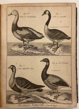 Item #302854 Encyclopedie Methodique: Histoire Naturelle, Ornithologie. Robert BENARD