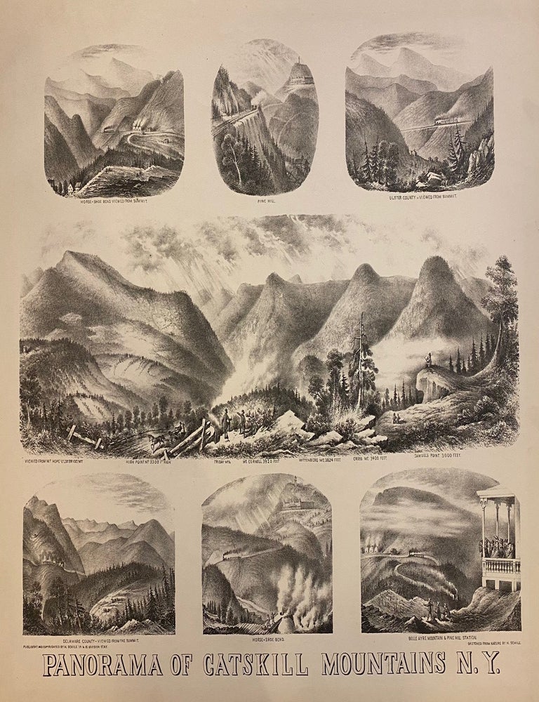 Item #307019 Panorama of Catskill Mountains N.Y. Henry SCHILE.