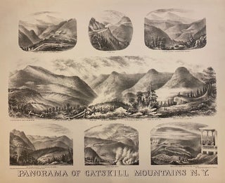 Item #307019 Panorama of Catskill Mountains N.Y. Henry SCHILE