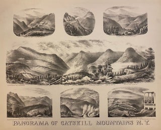 Item #307019 Panorama of Catskill Mountains N.Y. Henry SCHILE