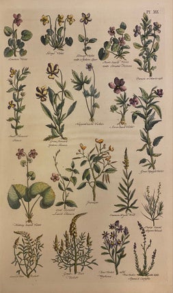 Item #307635 [Plate XXX] The British Herbal. John HILL, H. ROBERTS
