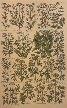 Item #307636 [Plate 58] The British Herbal. John HILL, H. ROBERTS