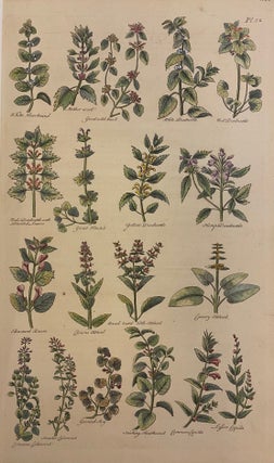 Item #307638 [Plate 52] The British Herbal. John HILL, H. ROBERTS