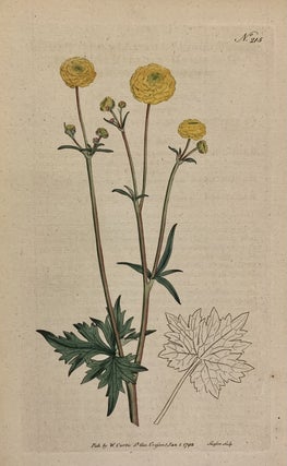 Item #312607 N. 215 (Ranunculus). William CURTIS