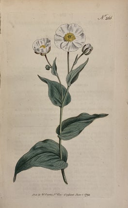 Item #312610 N. 266 (Ranunculus Amplexicaulis). William CURTIS