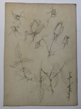 Item #313787 Roses with thorns. Antoinette CHINARD