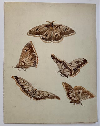Item #314182 Butterflies. A. CHINARD