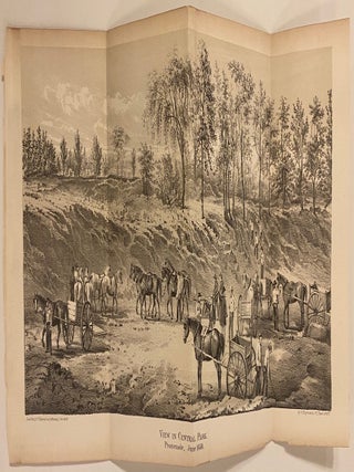 Item #314926 View in Central Park. Promenade, June 1858. D. T. VALENTINE, David Thomas