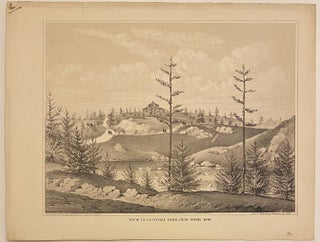 Item #317895 View in Central Park, New York, 1861. D. T. VALENTINE, David Thomas