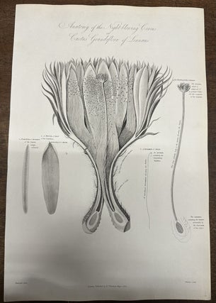 Item #319897 Anatomy of the Night-blowing Cereus or Cactus Grandiflora of Linnaeus. Robert John...