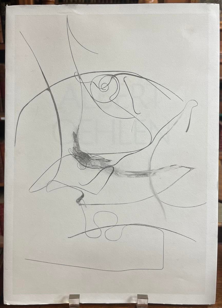 Albert Oehlen: Drawings | Danilo ECCHER