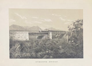 Item #326550 Sumidero Bridge. Hesiquio IRIARTE