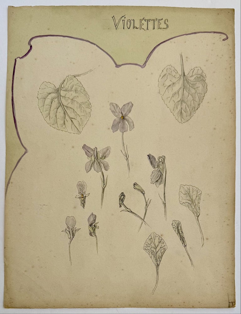 Item #327444 Violettes. Antoinette CHINARD.