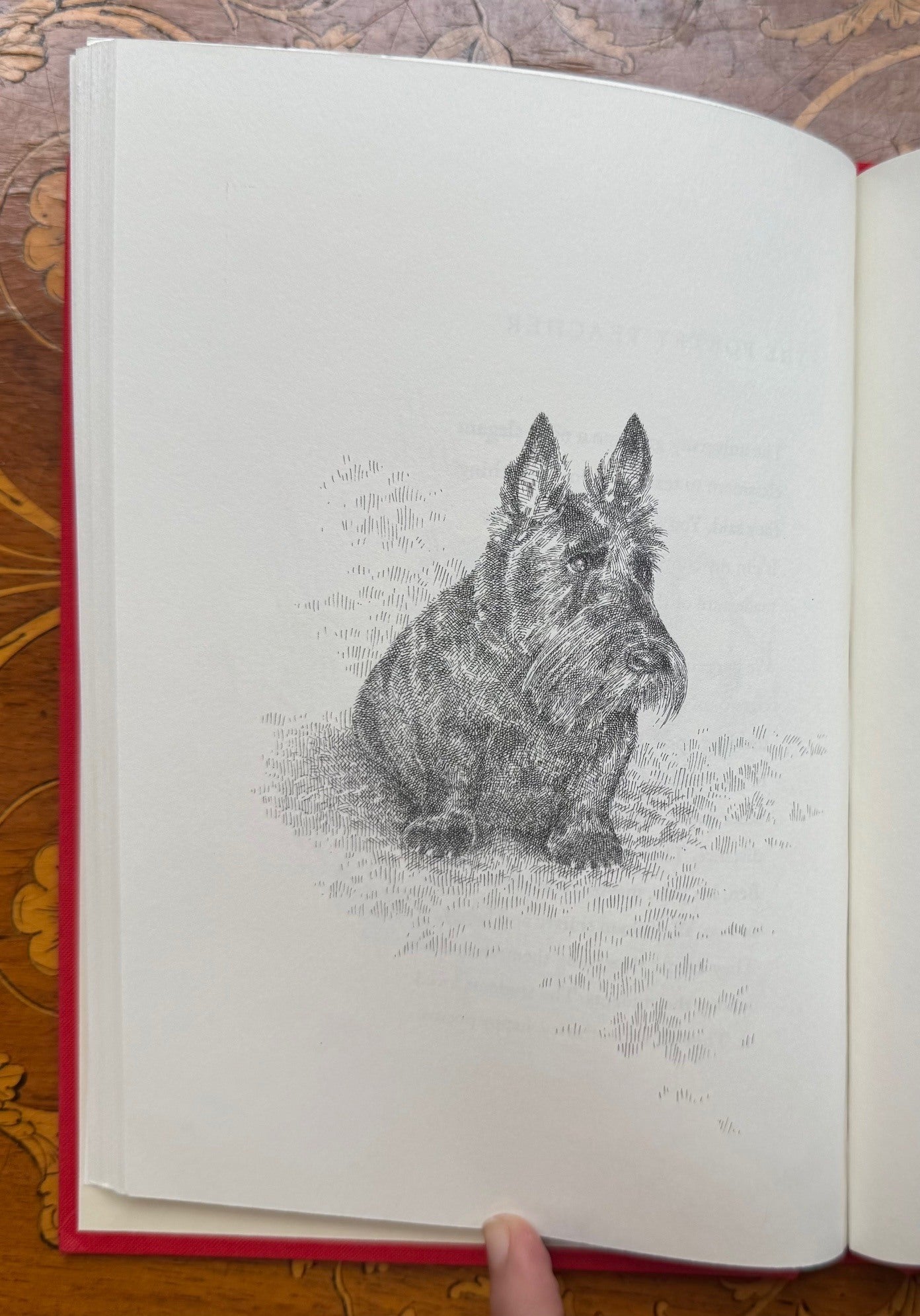 Dog Songs: 35 Dog Songs and One Essay | Mary OLIVER | Limited