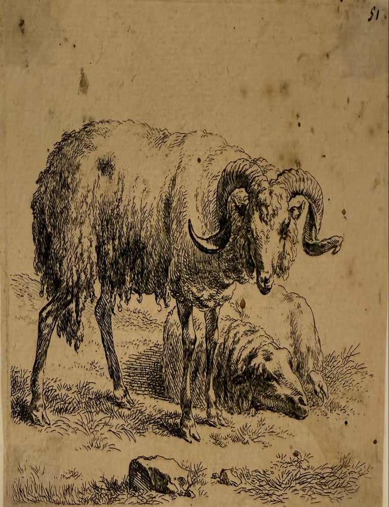 Item #335155 [Ram with sheep] Animalia, ad vivum delineata, et aqua forti aeri impressa. Nicolaes BERCHEM.
