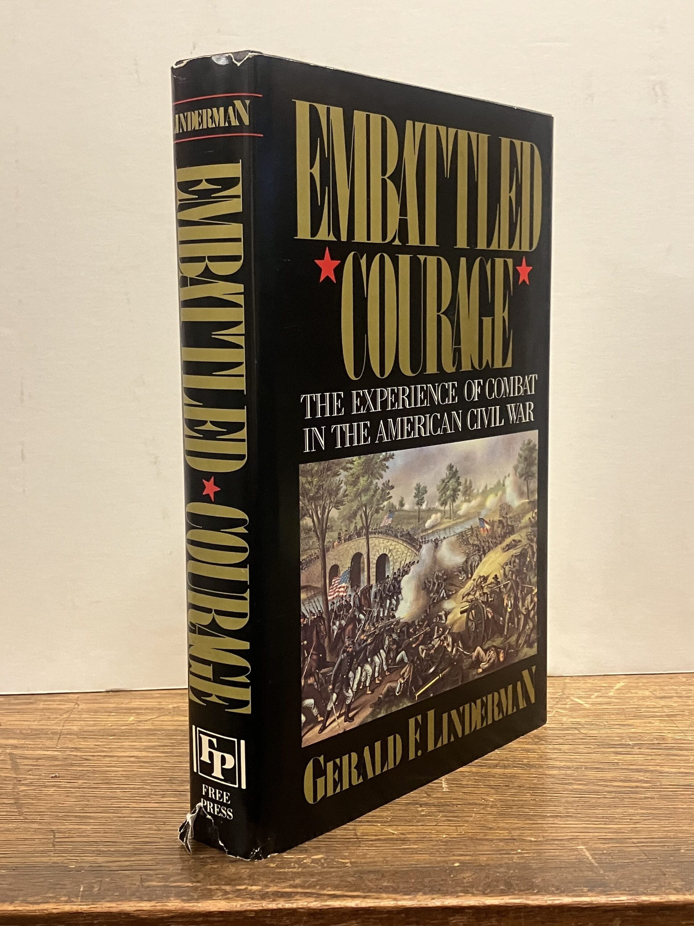 Embattled Courage: The Experience of Combat in the American Civil War ...