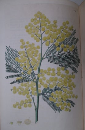 Flora Australasica; or, a Selection of Handsome, or Curious Plants, Natives of New Holland, and the South Sea Islands.